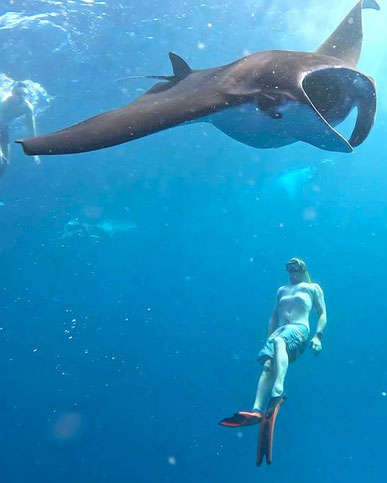 Nusa Penida:<br /> Snorkeling 3 Spots